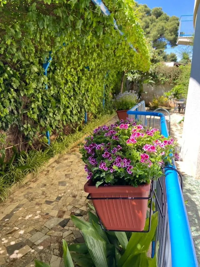 Contacten van Villa Savoia Mondello